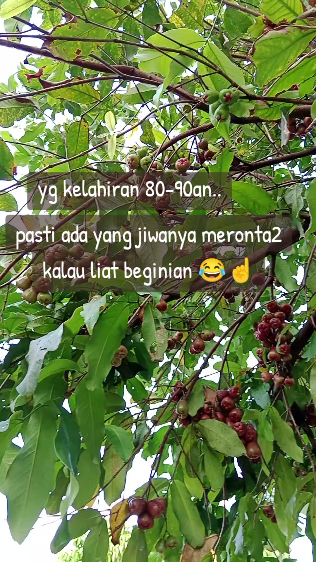 @🧡💙ERMAWATI 🧡💙