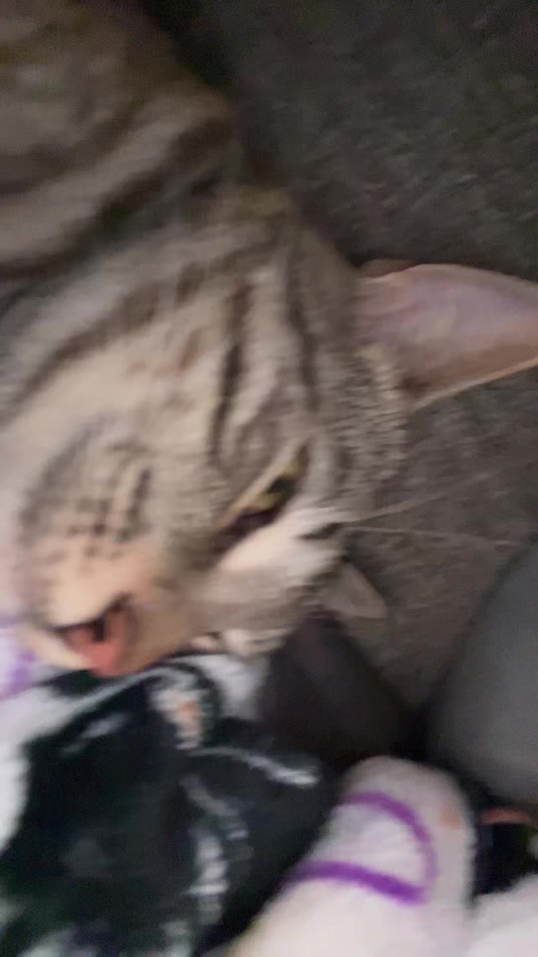 @Em ๐