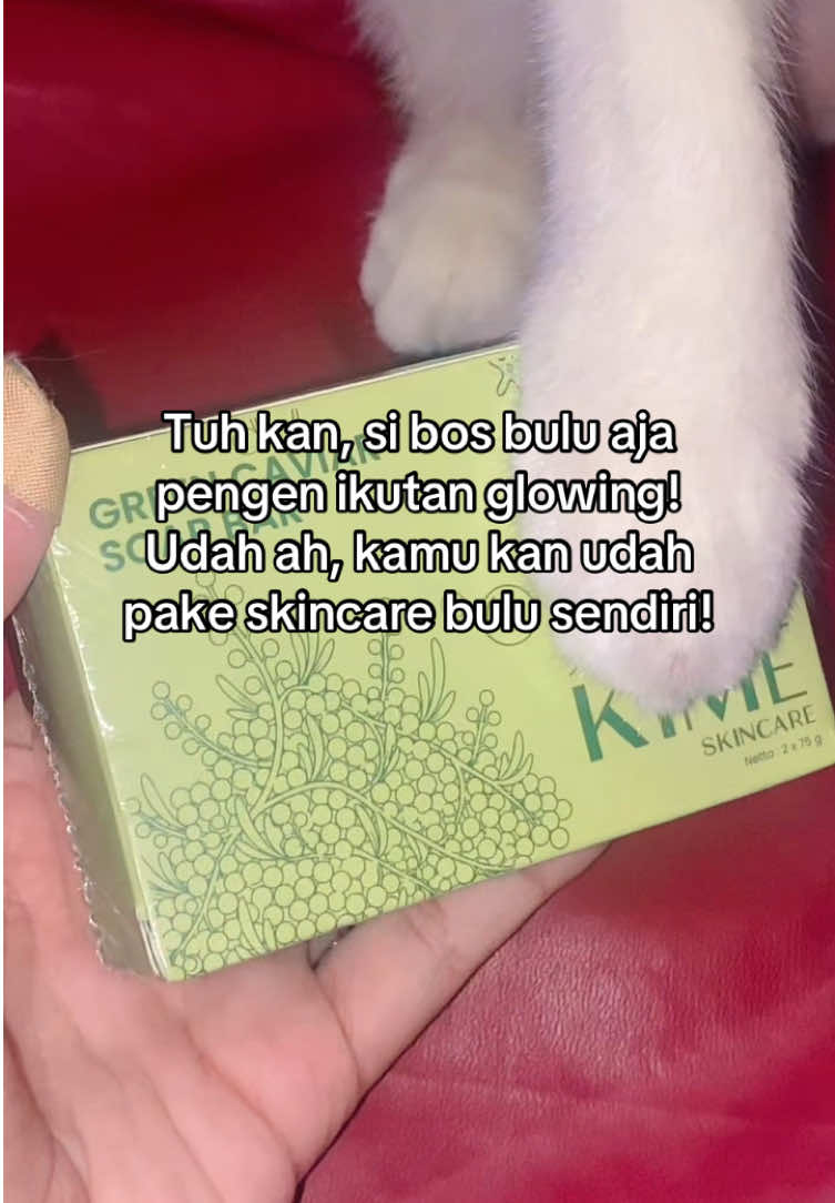 @sheryl