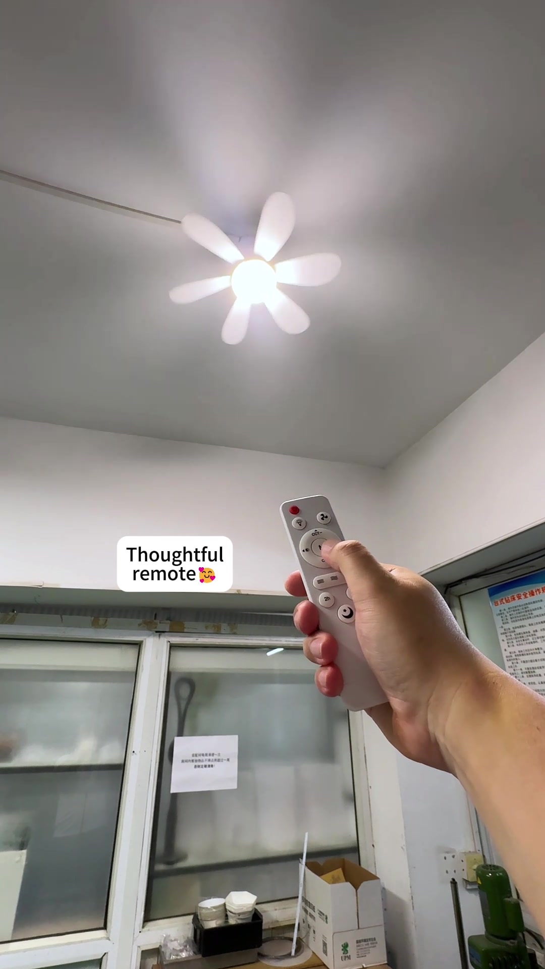 @Shayne Glow