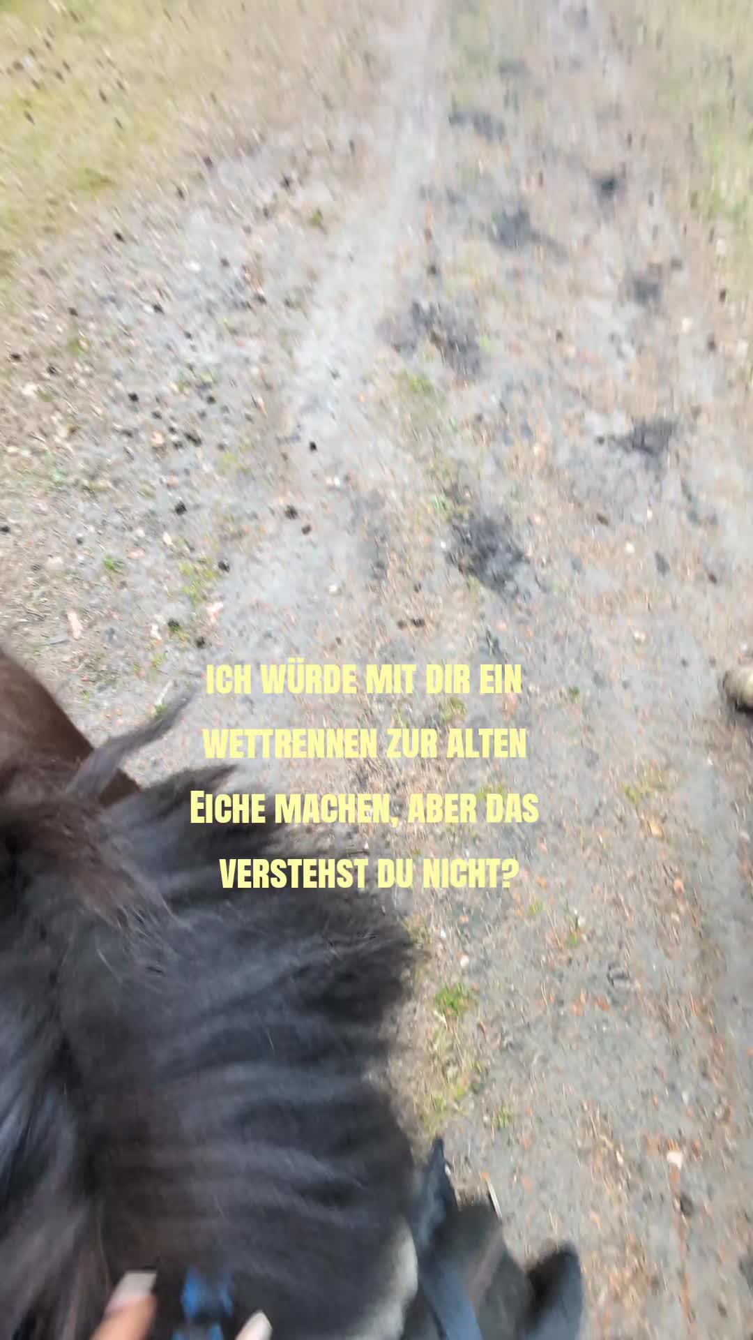 @hxnnxh_nbg