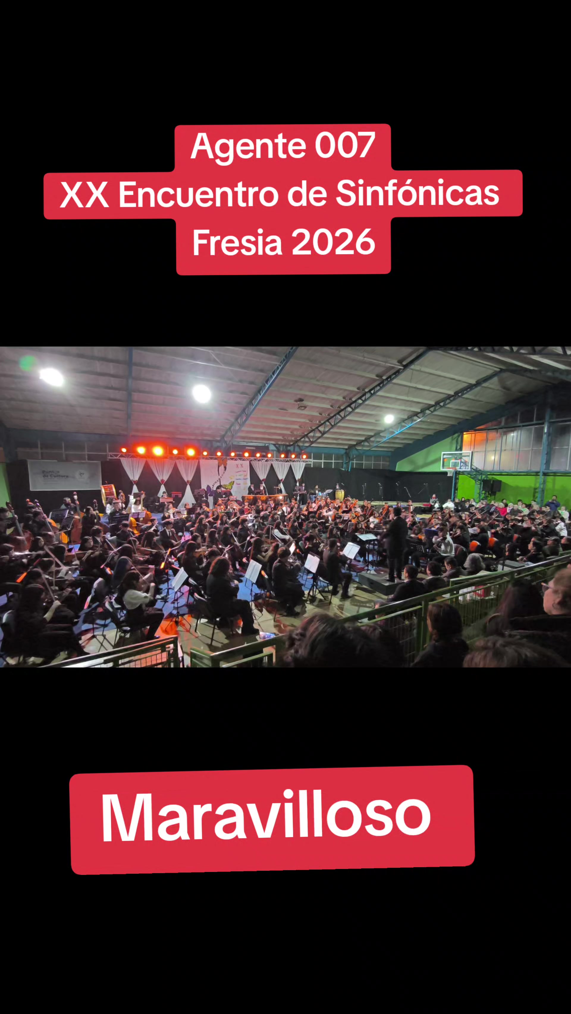 @Patricio Araneda Vidaurre