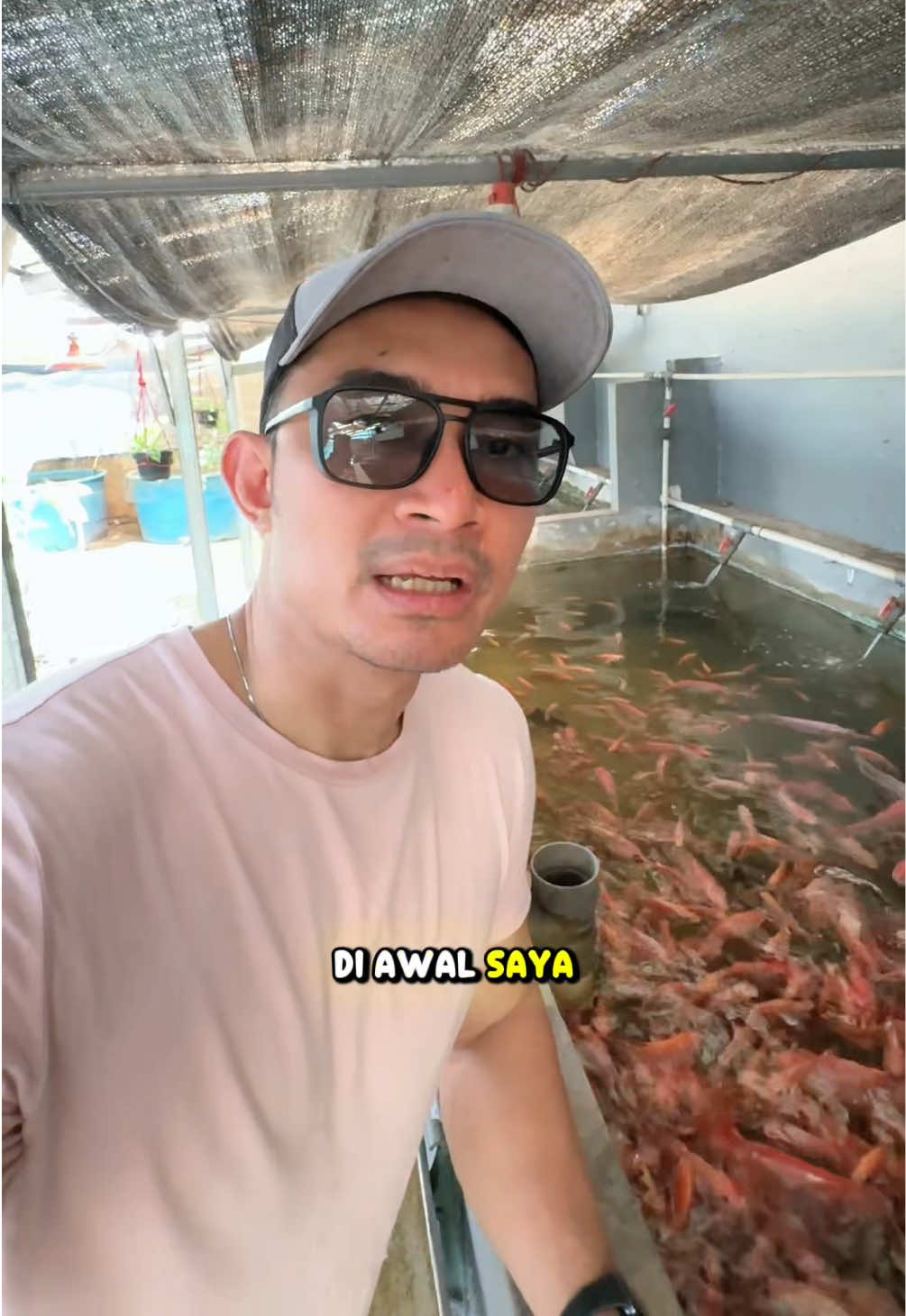 @NilaKu ID
