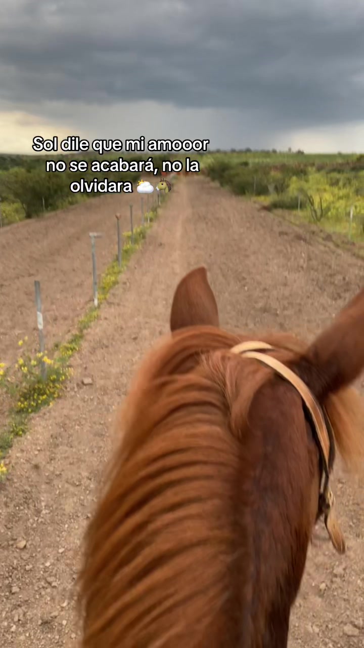 @arturo 🧔🏻♂️