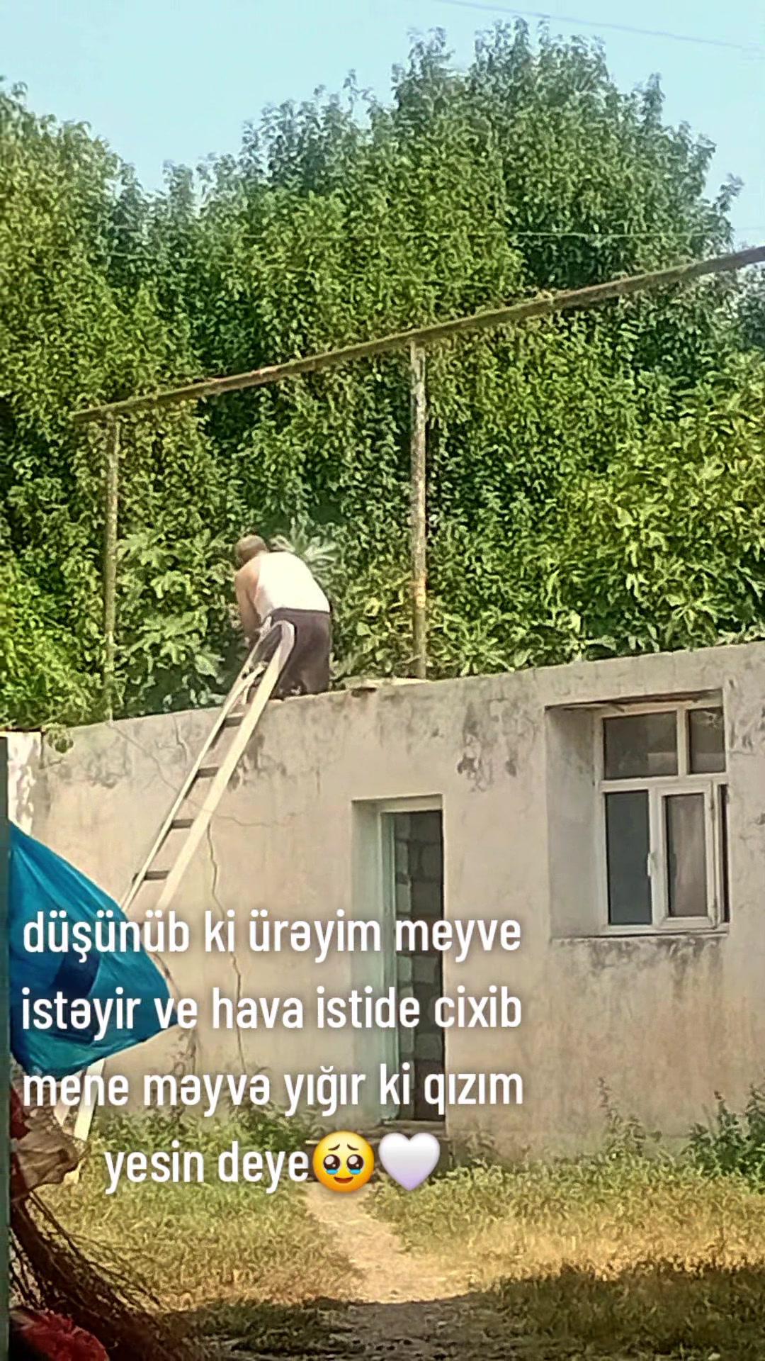 @🤎Tamara🤎