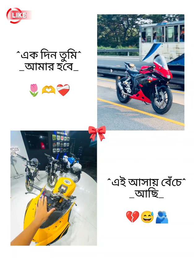 @✿BIKE LOVER✿
