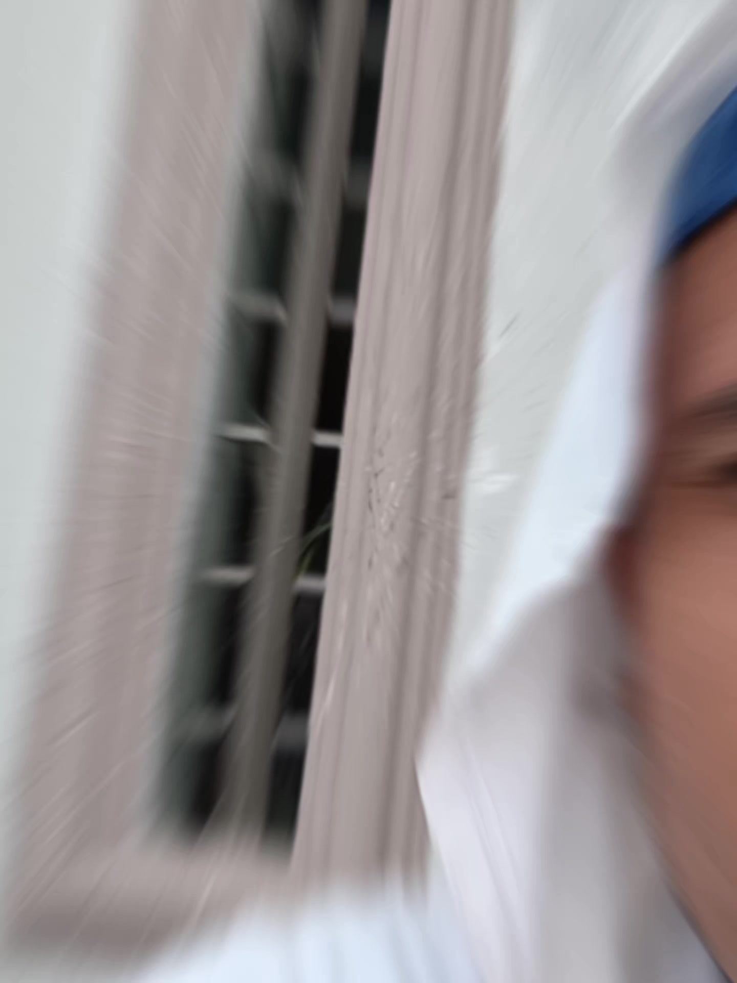 @el gibi en la obra