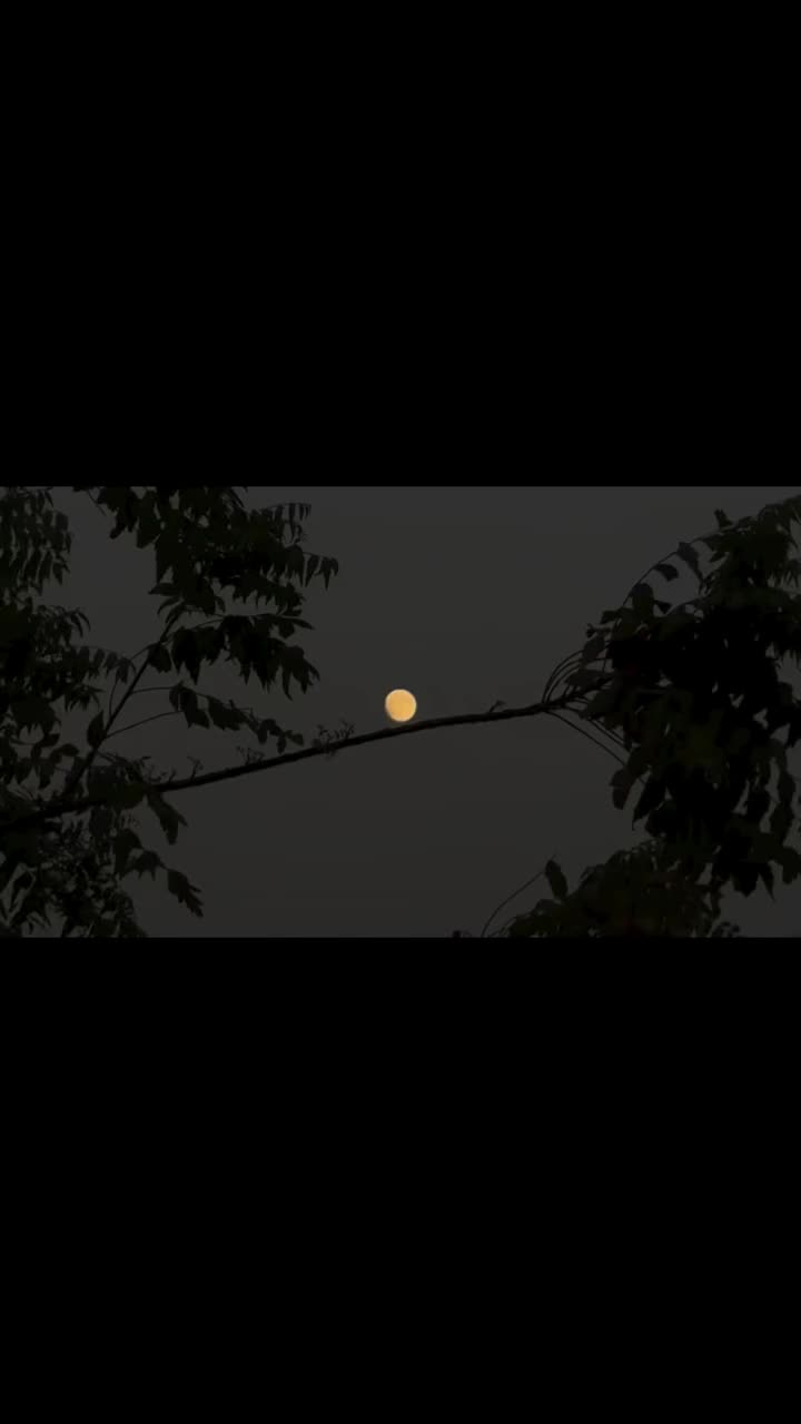 @아즈하르 𓆩♡𓆪