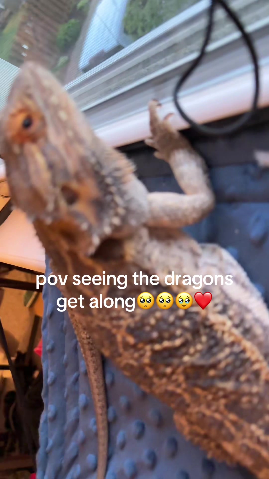 @addie_tornabene