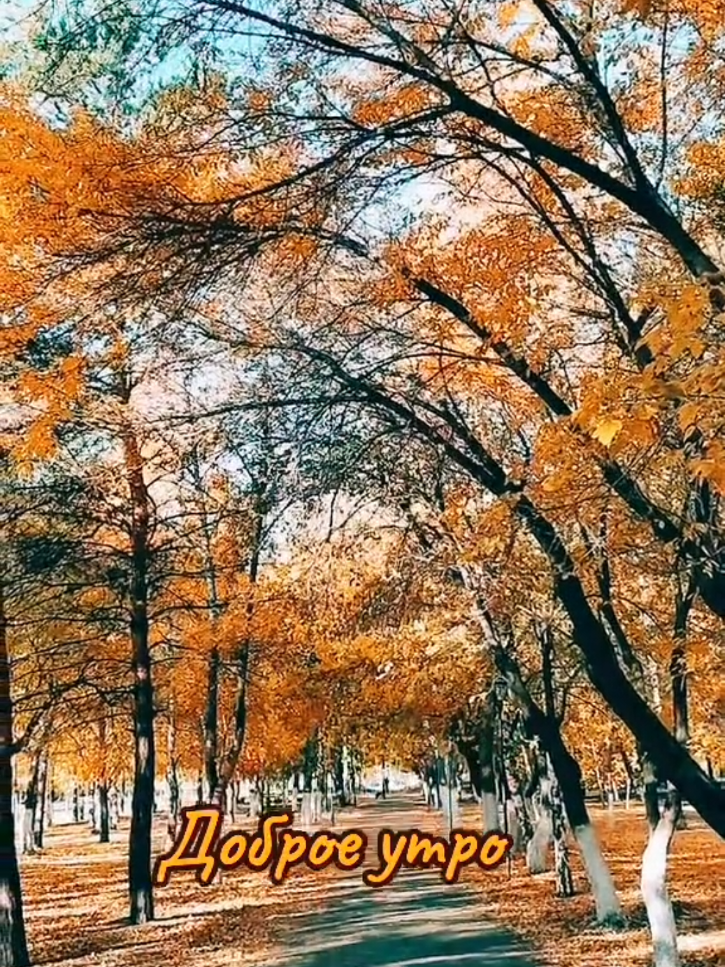 @pavlodar_yura