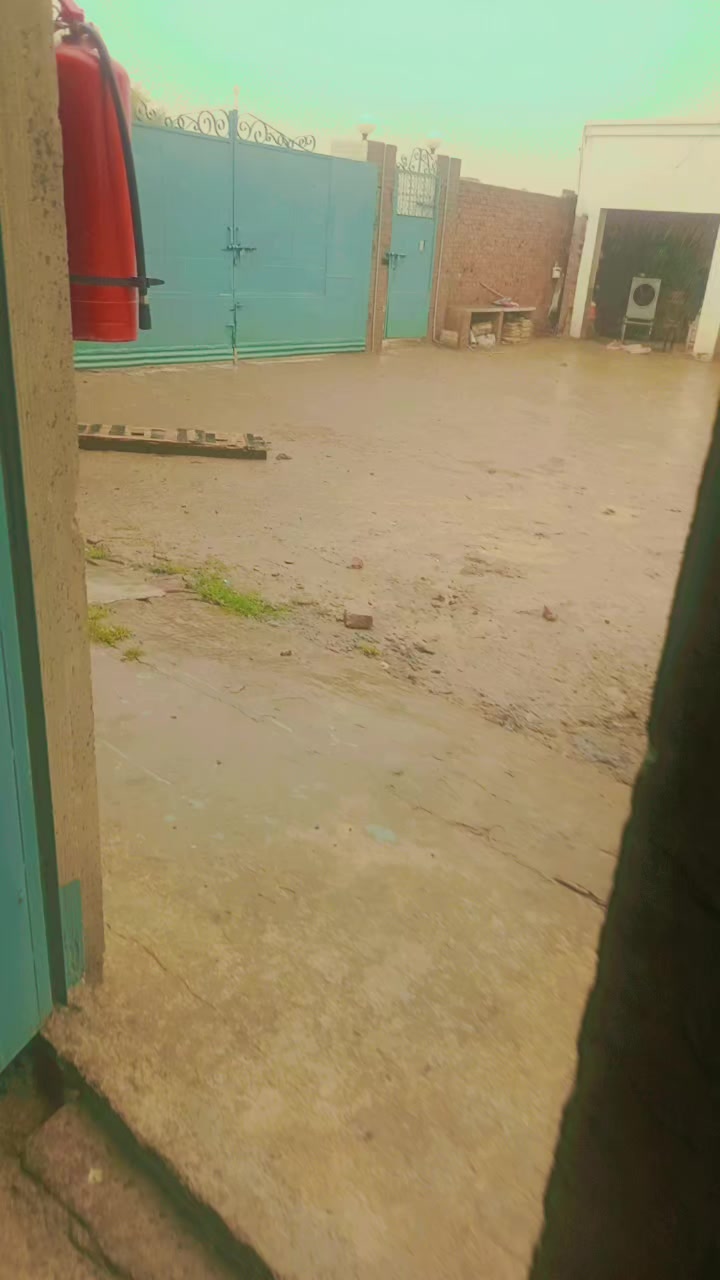 @بلال بھٹی ساہیوال والا804👑