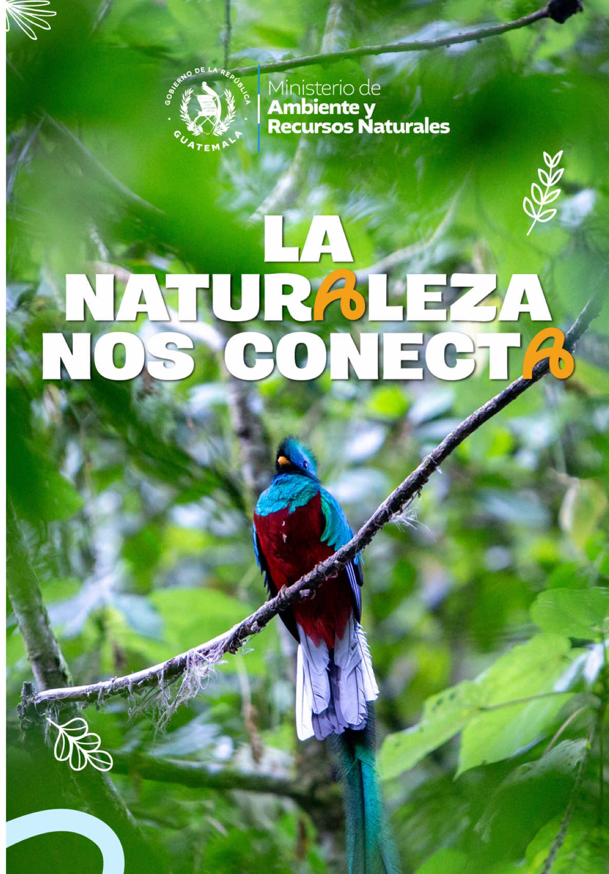 @Ministerio de Ambiente GT