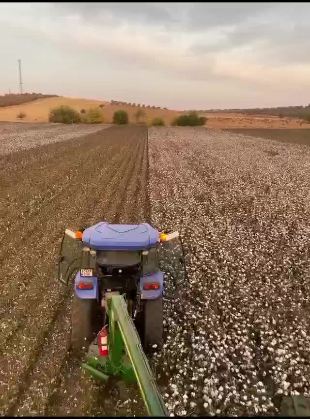 @Şahin Bezlek