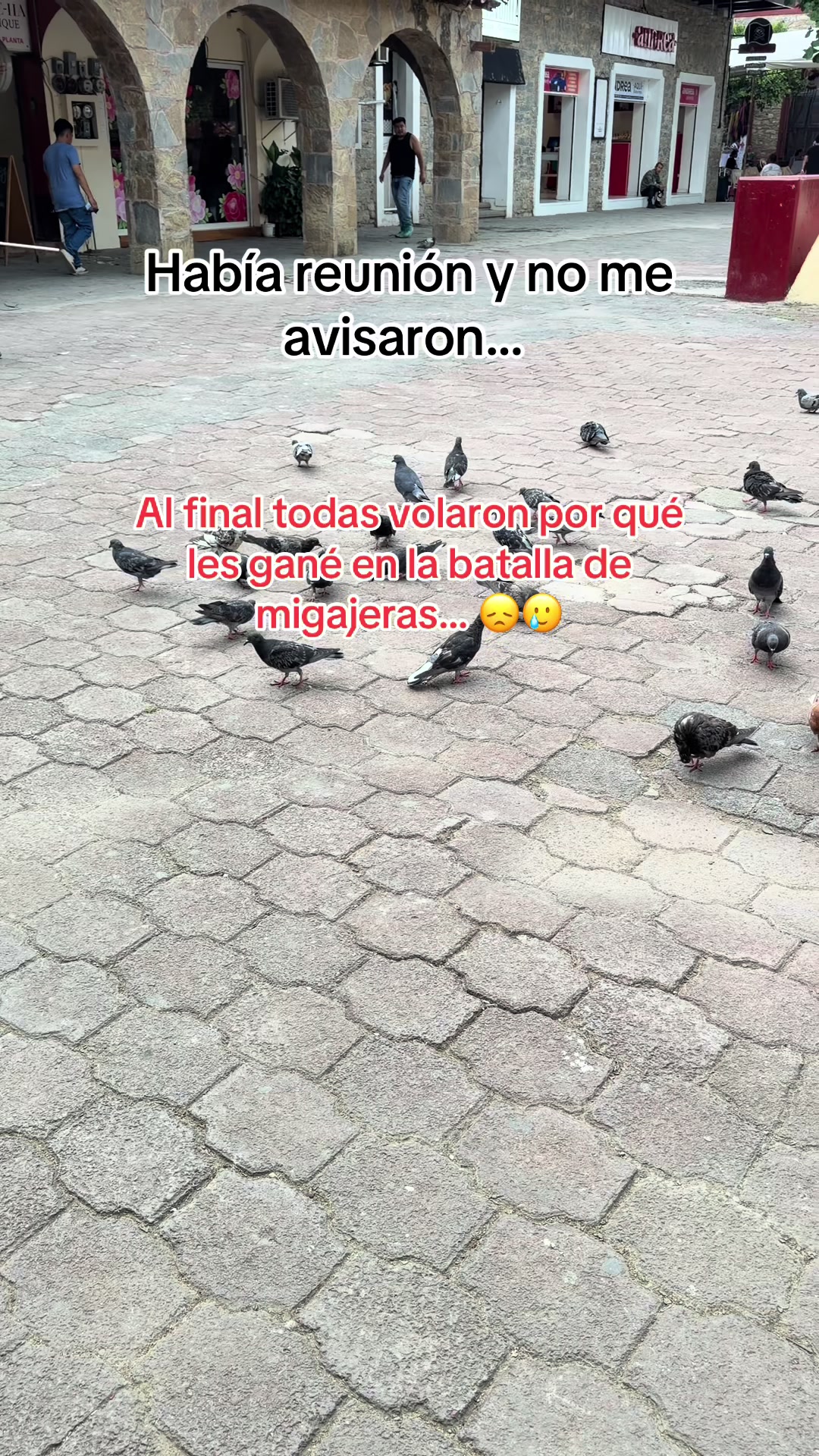 @Noemi Hernandez