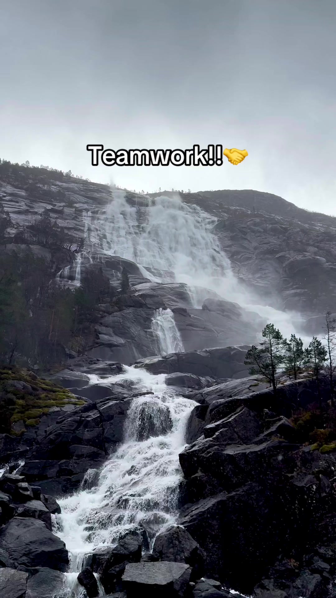 @Teamworker