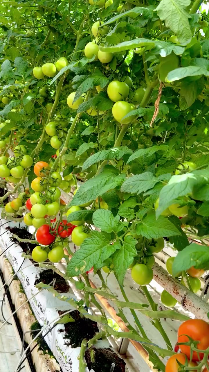 @Zortrax Agriculture Inc