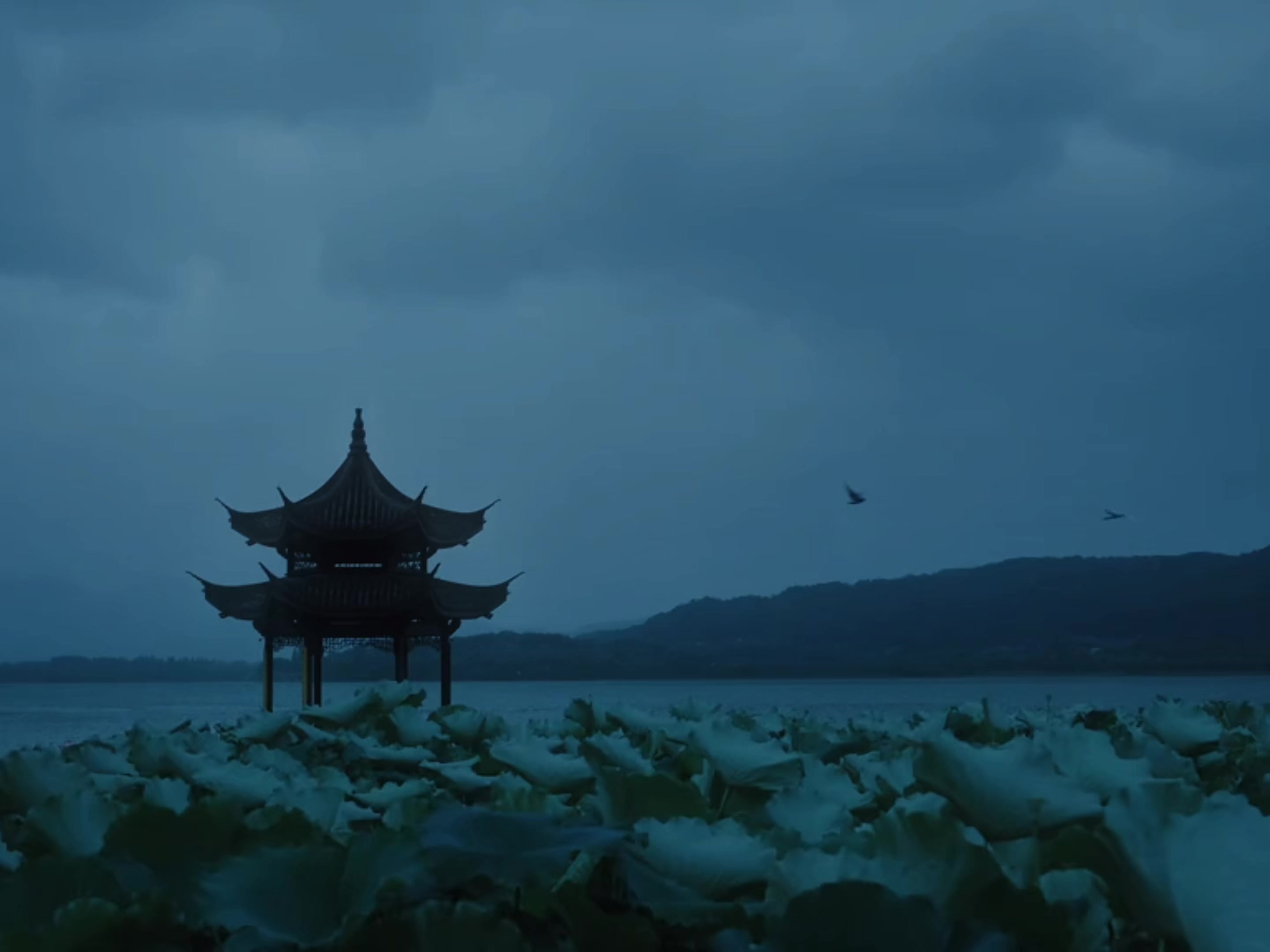 @lào weiwei