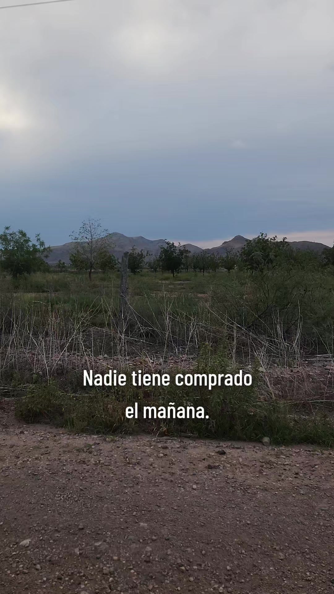 @El De La 450 Negra