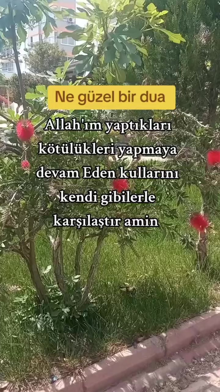 @papatyamm