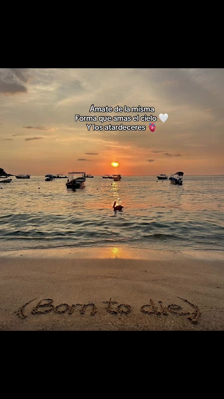 @Geraldine Franco