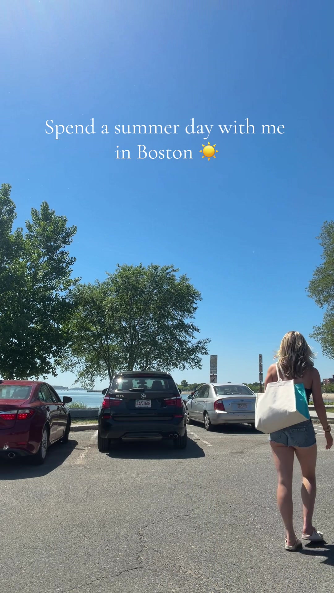 @torishapiro