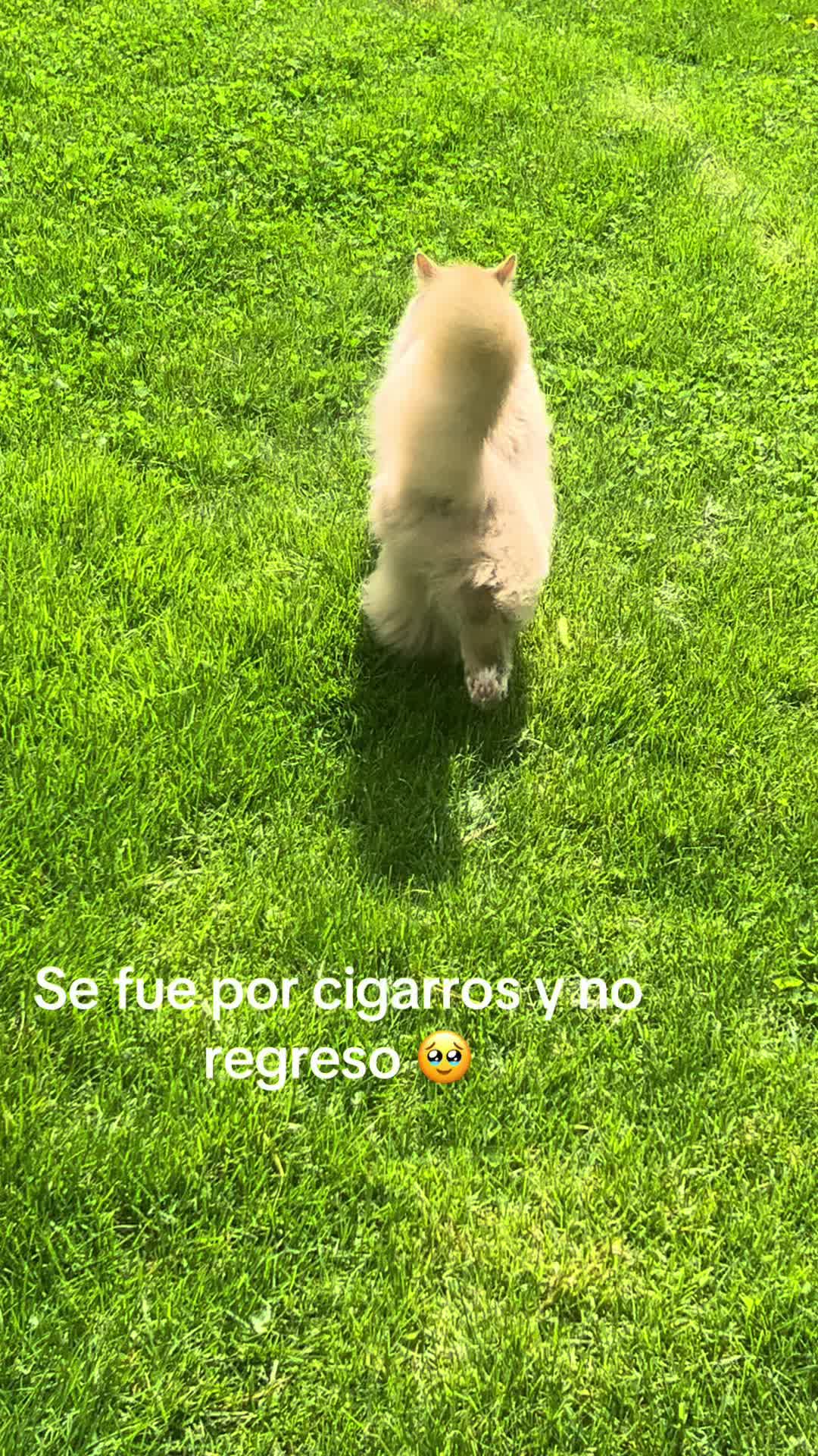 @Mayra De Zaragoza