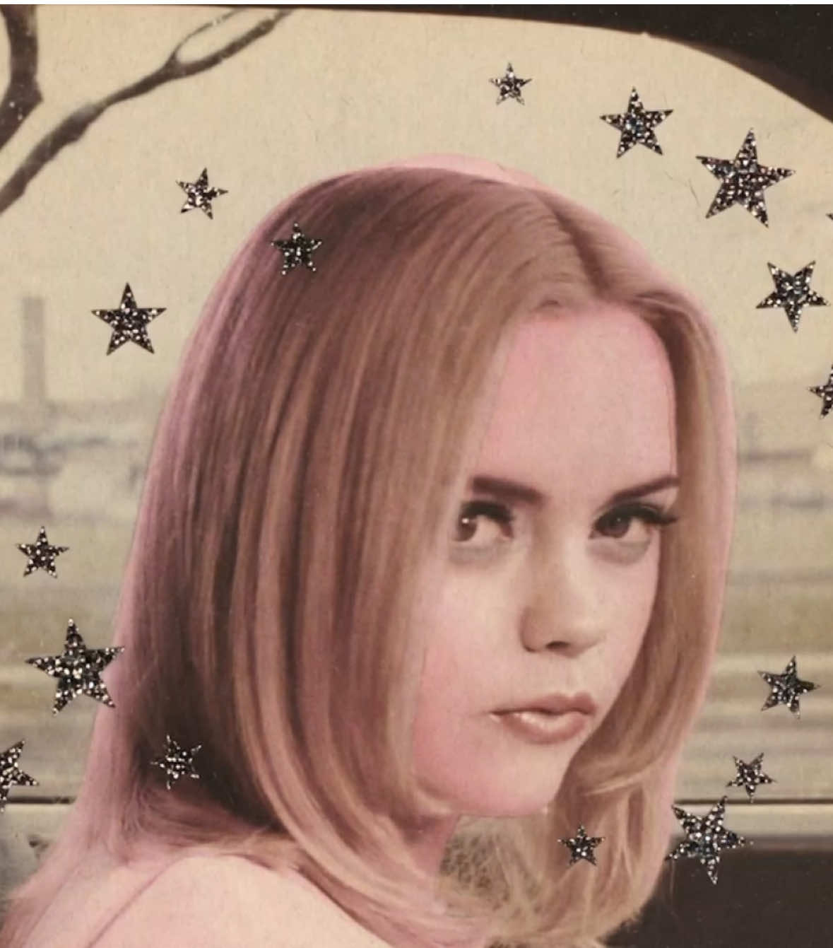 @navidsinaki