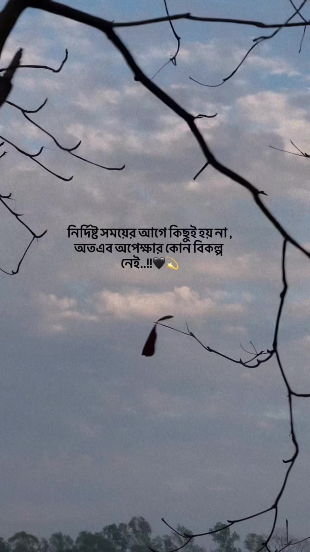 @Fimu😘