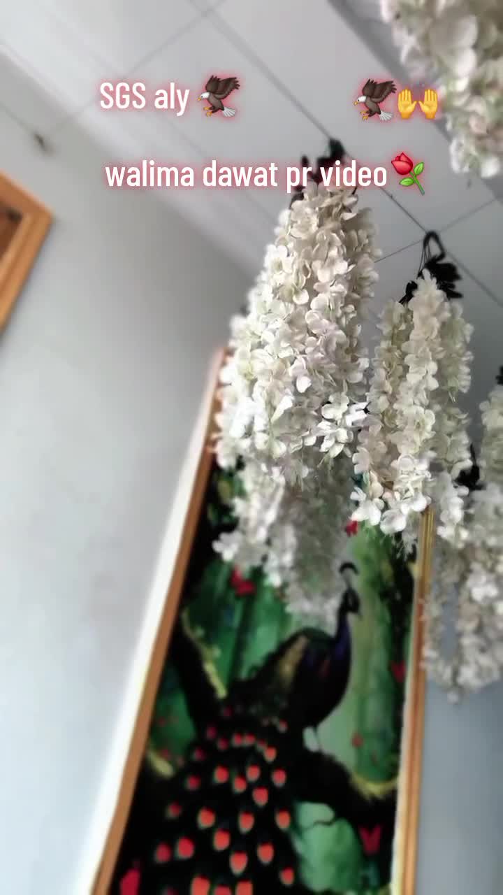 @Dangiya🐍 shikari🕊 gujjar 🦅
