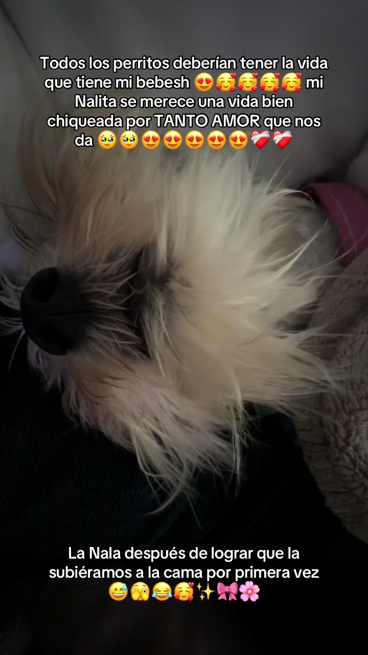 @aciremr