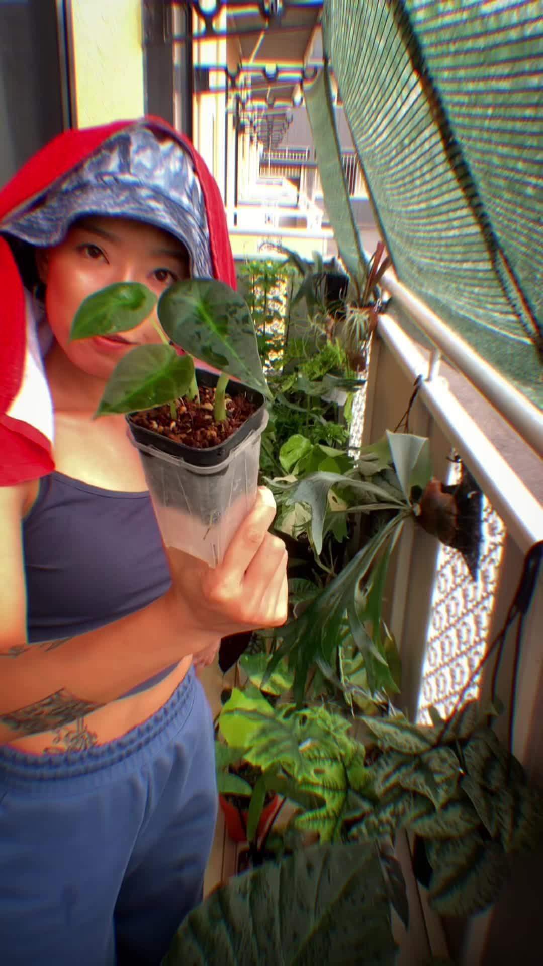 @plantsparadiseplanet