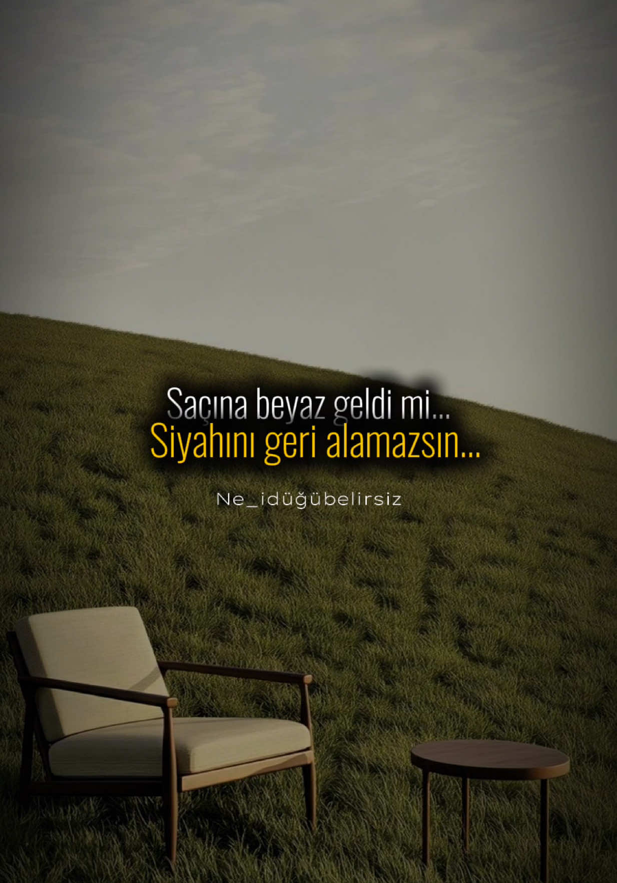 @ne_idugubelirsiz