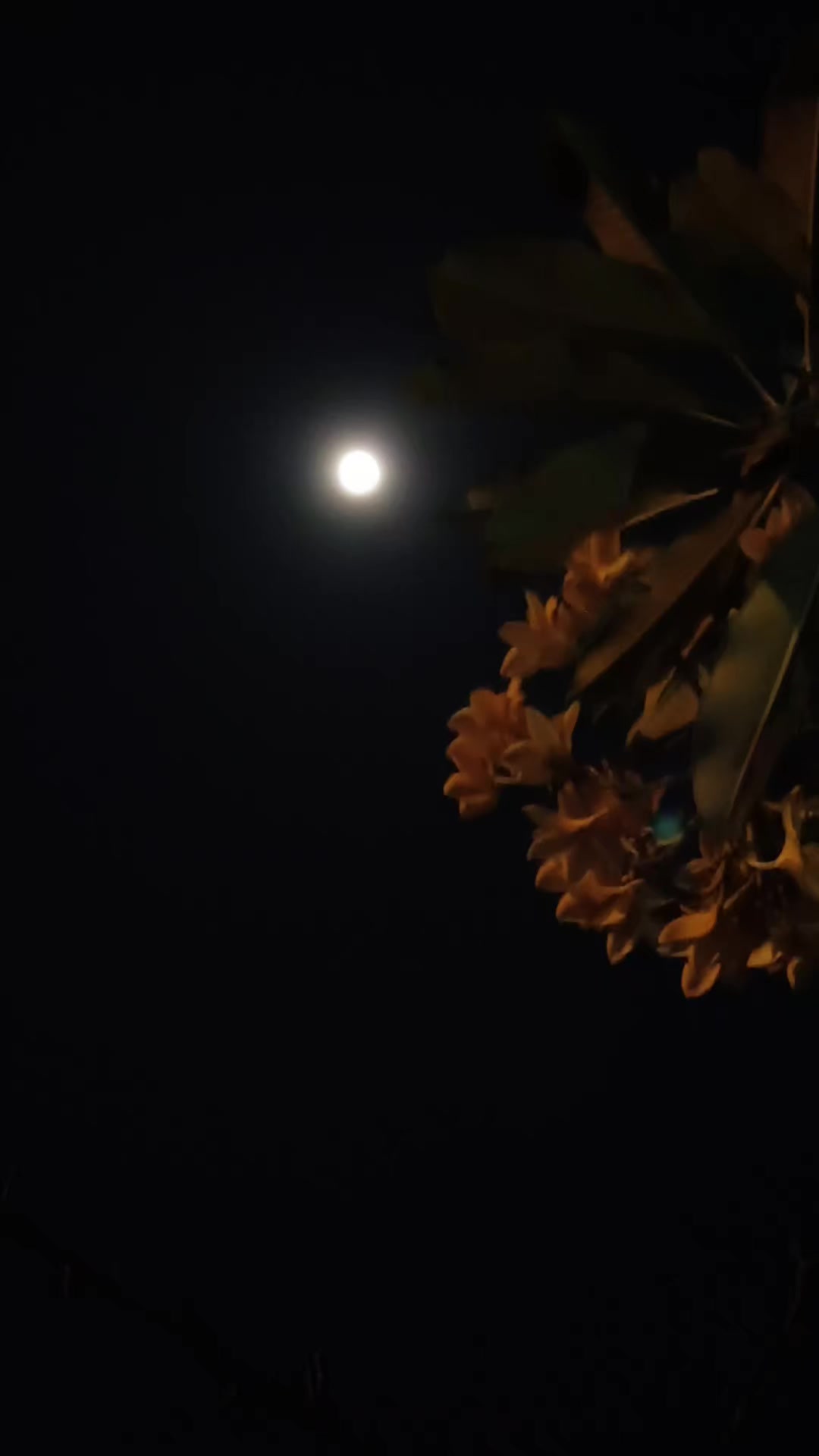 @Gendhis Putik Darmawan