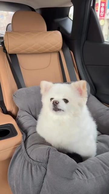 @✞︎✰{태봉}✞︎✰