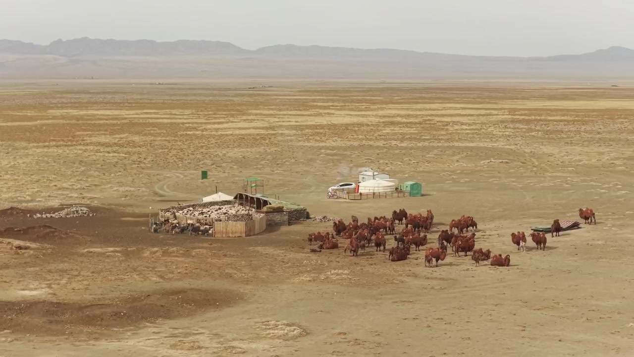 @green_group_21_aimag