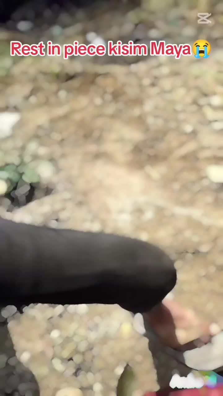 @its_me_rameswor7