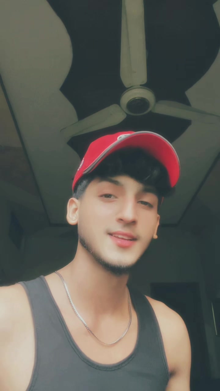 @🐊