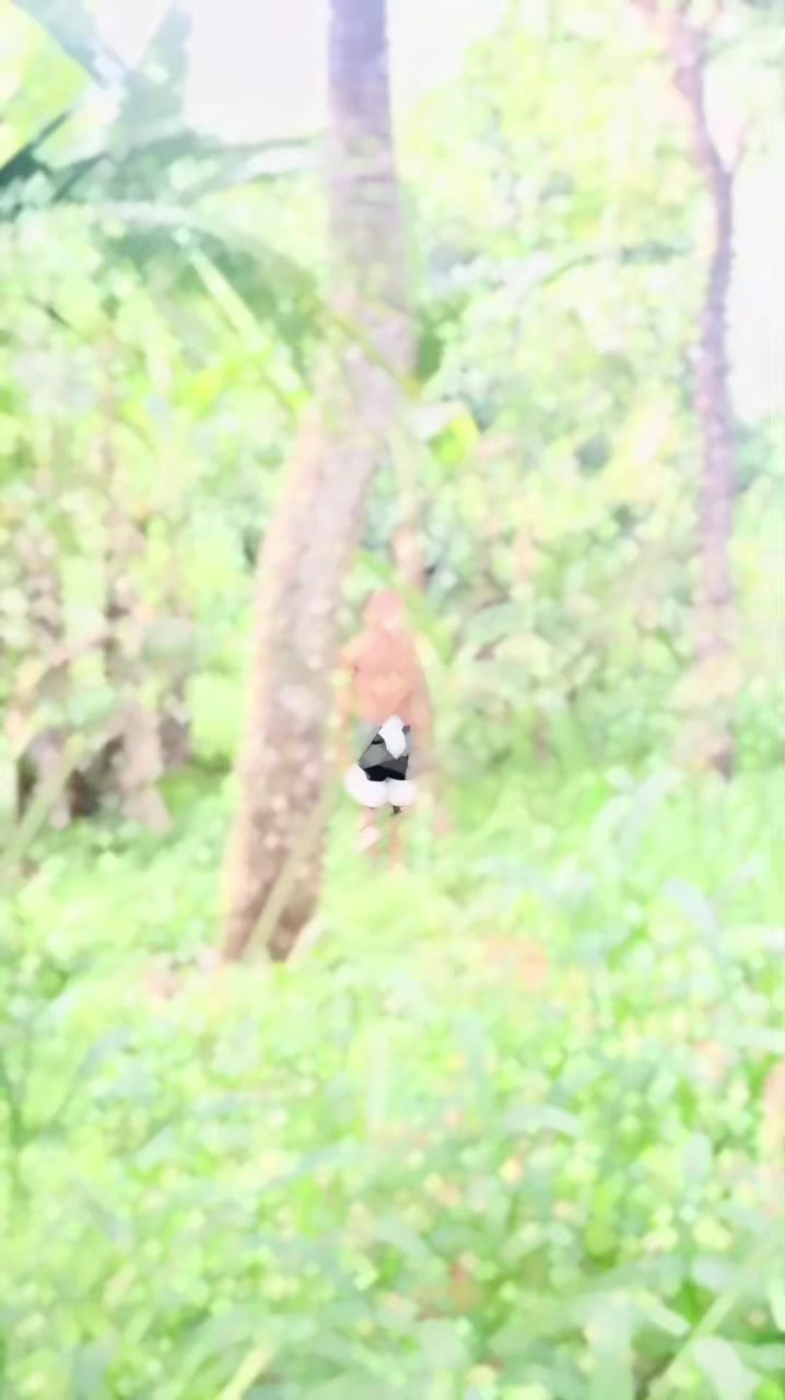 @๐ฎ๐ข๐ฉ๐ช๐ช•โ๐๐๏ธ