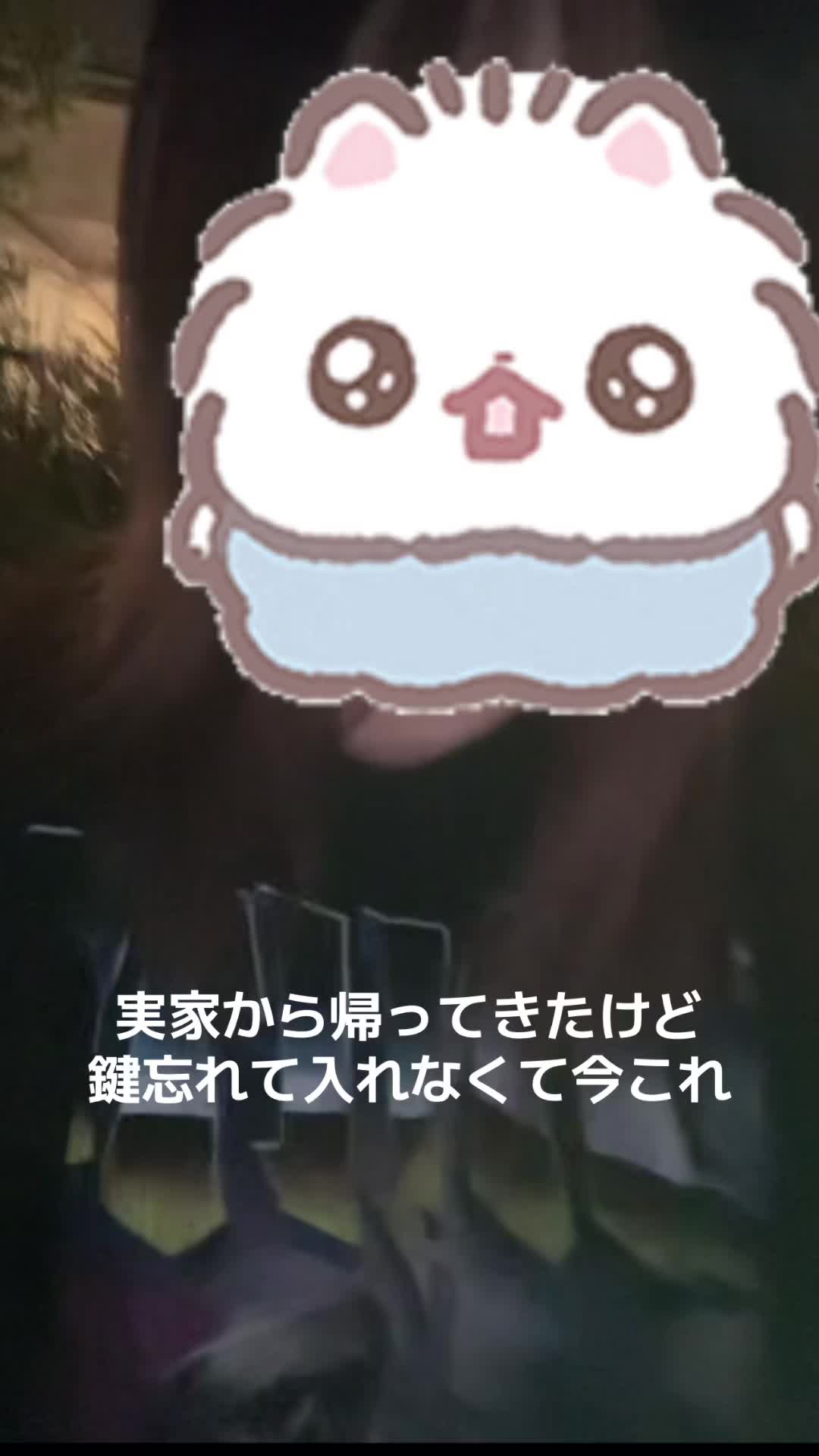@掃除が出来ない