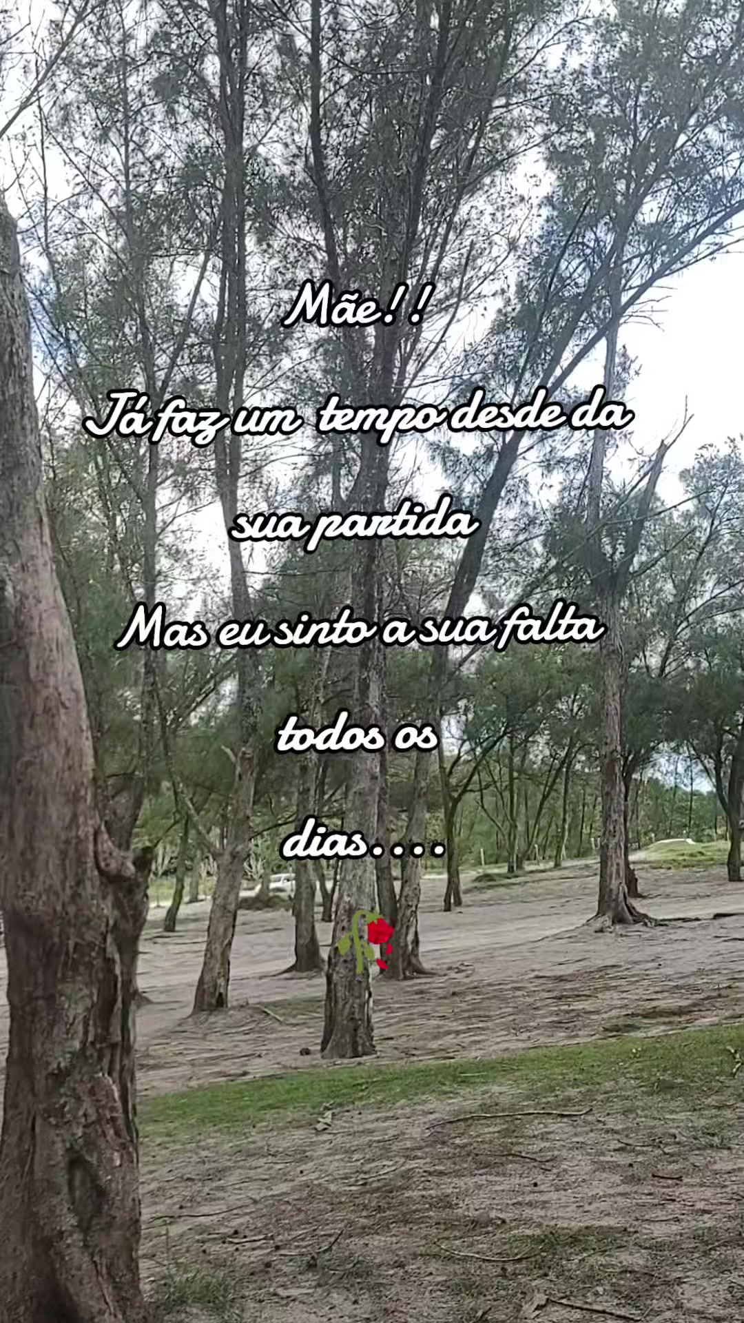 @Juliana Caruso
