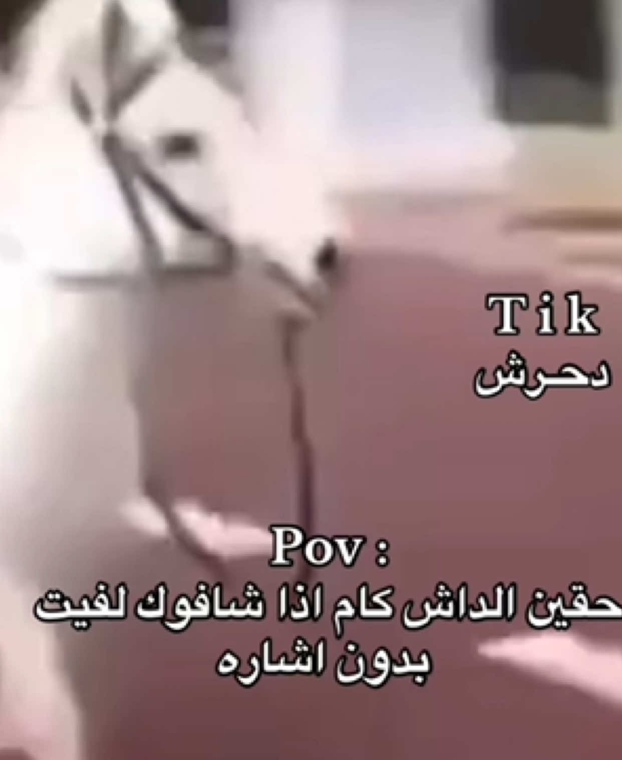 @دحرش | ضحك 😂