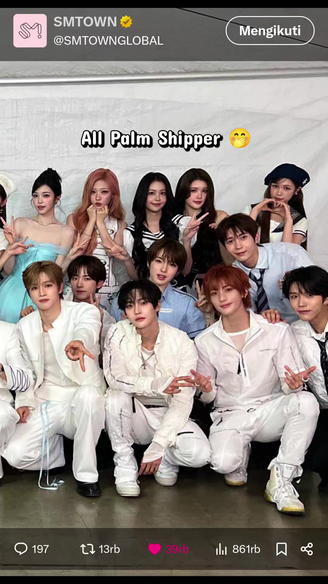 @BNZ Hachu ALLYZ ExoL RosinArmy