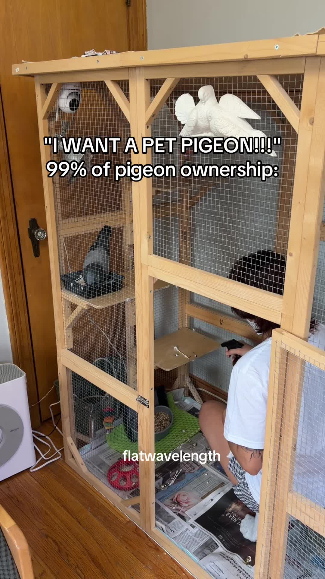 @flatwavelength