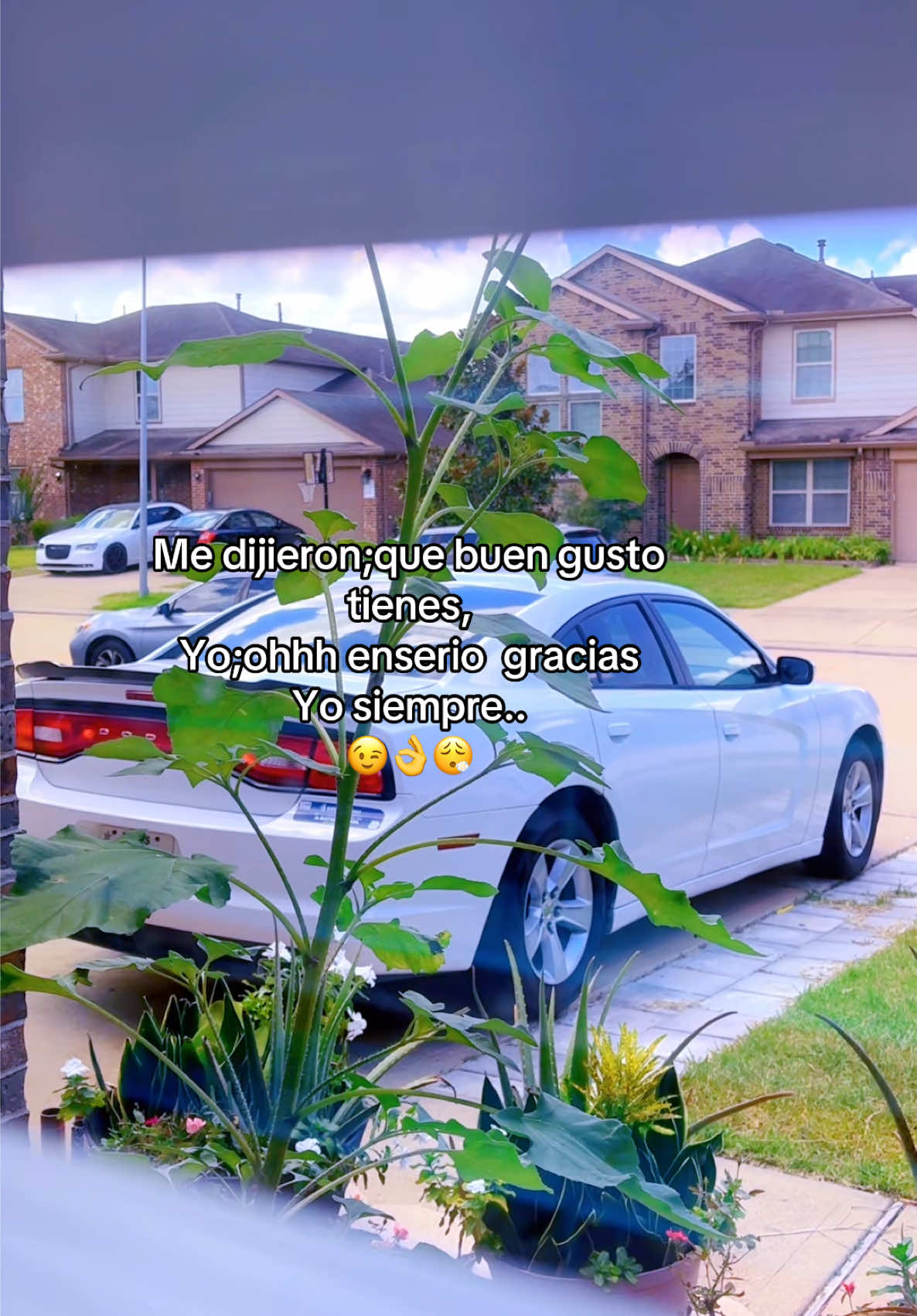 @🦉🟡💛TEYIS🌼🐝✰ 🦚D’ORO🦐🦍🟡