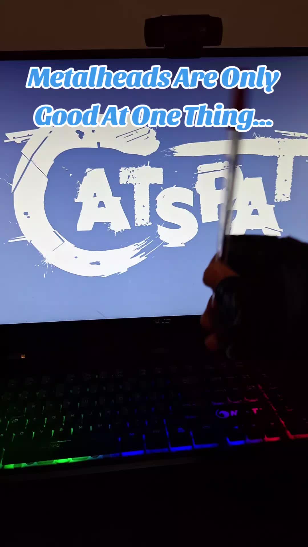 @Cat Spat