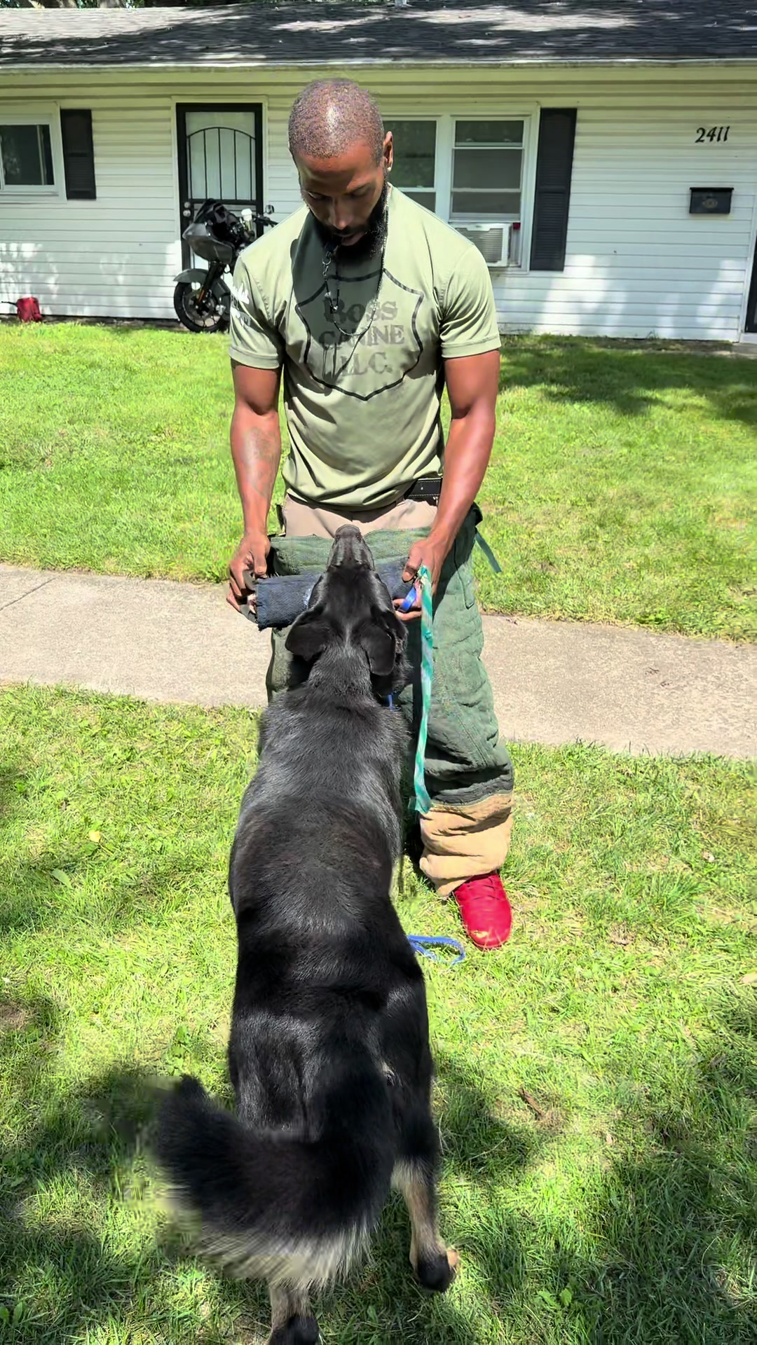 @Boss Canine