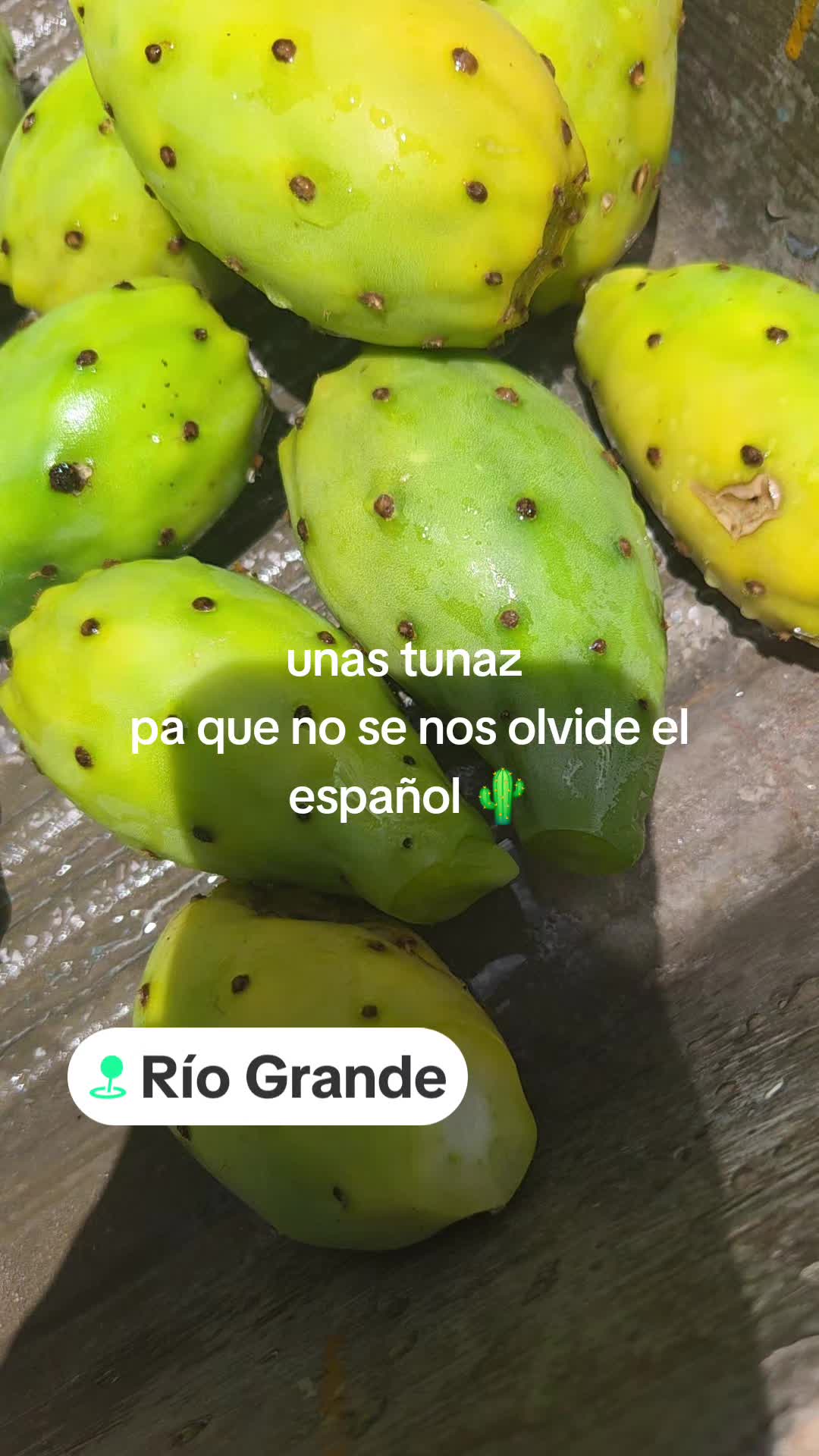 @BarbaCerrada0519