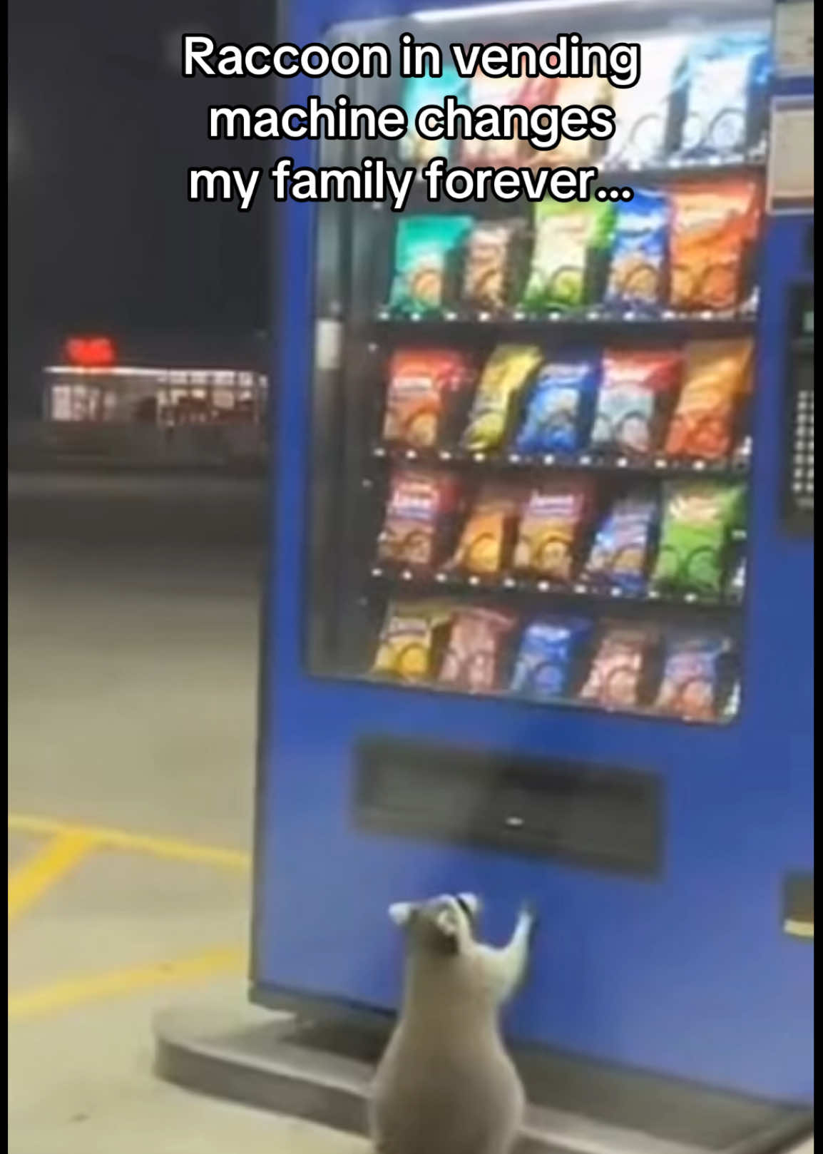 @AnimalWorld