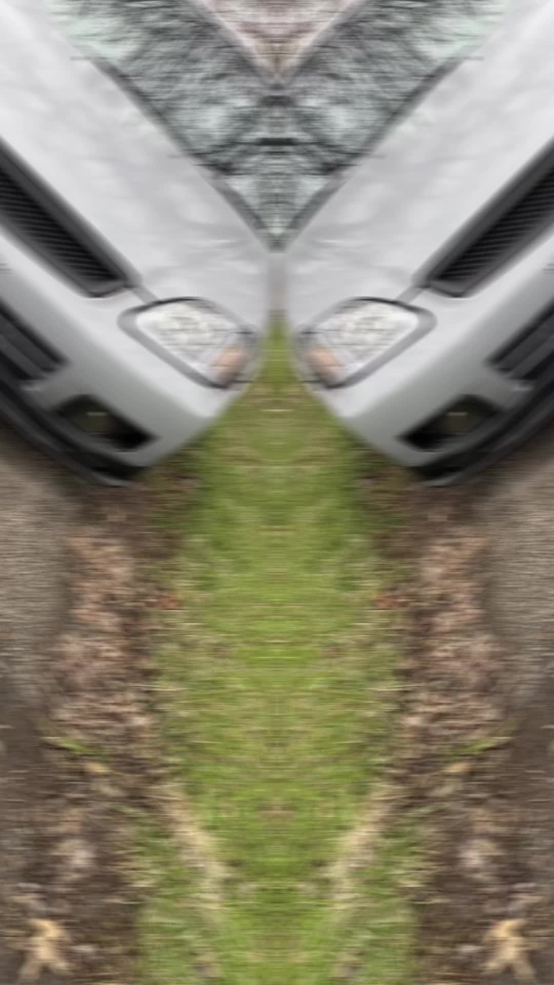 @AsapFishing666