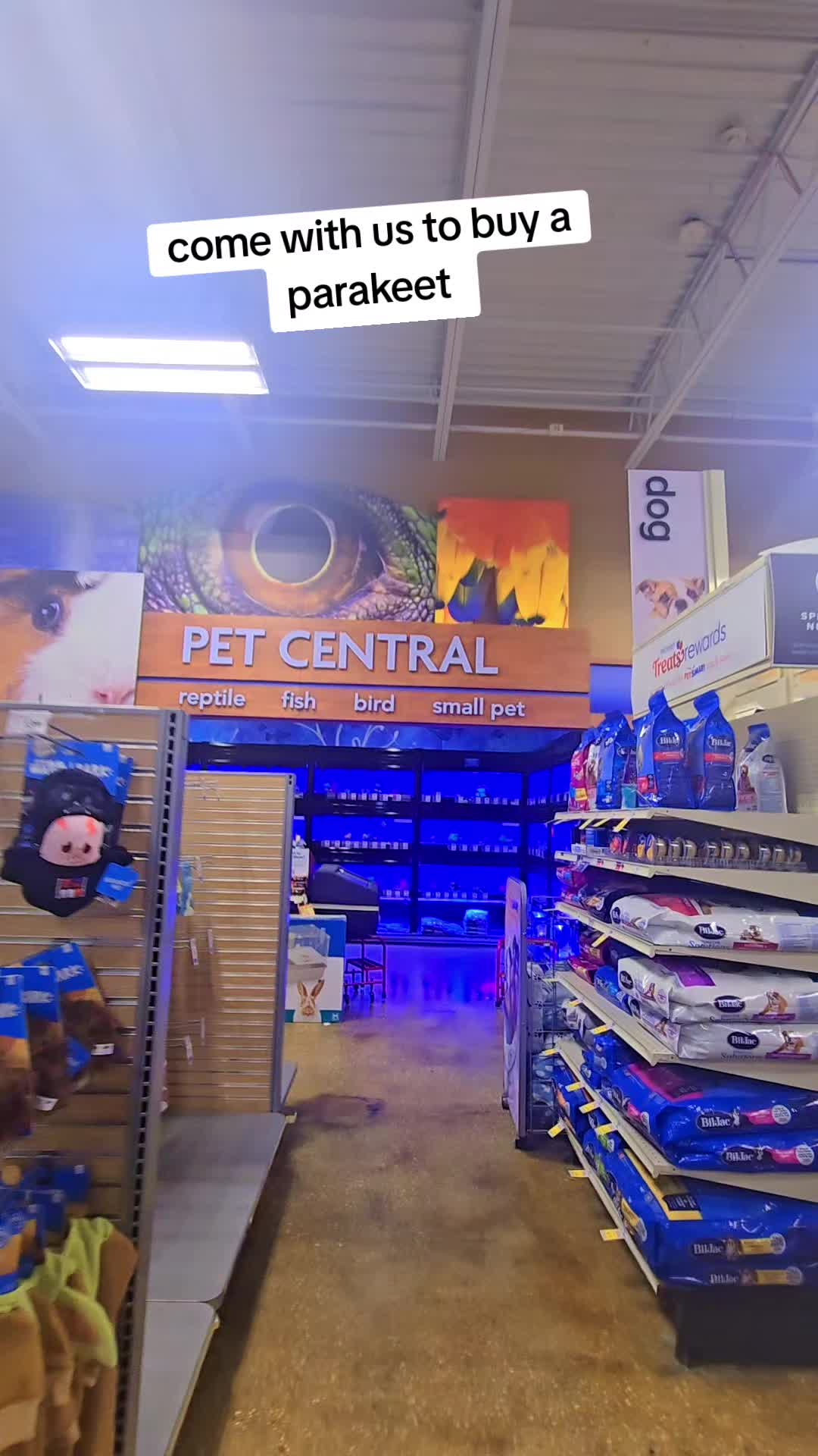 @Vee